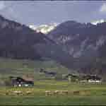 Through the beautiful Swiss Alps